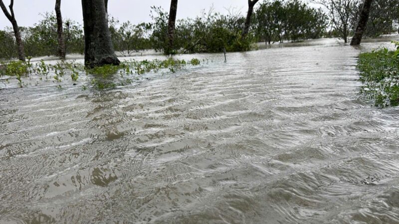 fb-267086443957481_1102452352097470