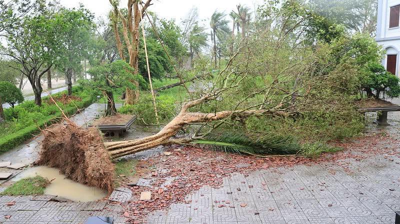 fb-285328895298373_805995992169318