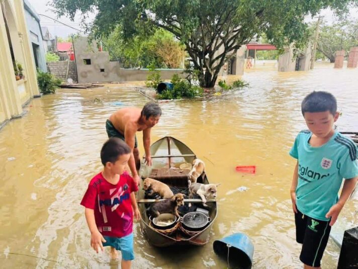 fb-285328895298373_806404638795120