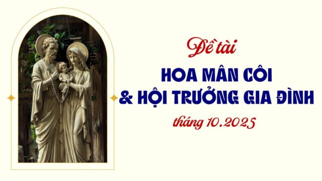 fb-732768673513037_1114198527503697