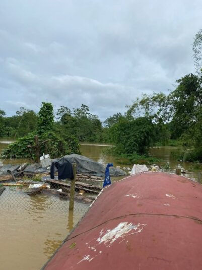 fb-732768673513037_1114873754102841