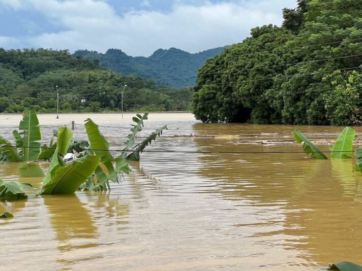 fb-732768673513037_1114873754102841