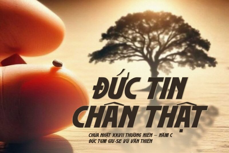 fb-1578851229095483_1205551228282783