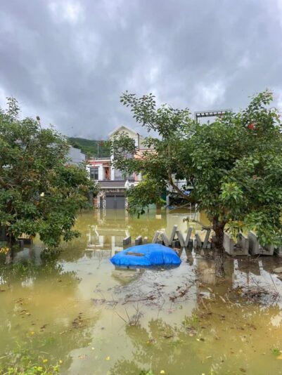 fb-732768673513037_1114965784093638