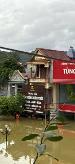 fb-732768673513037_1114965784093638