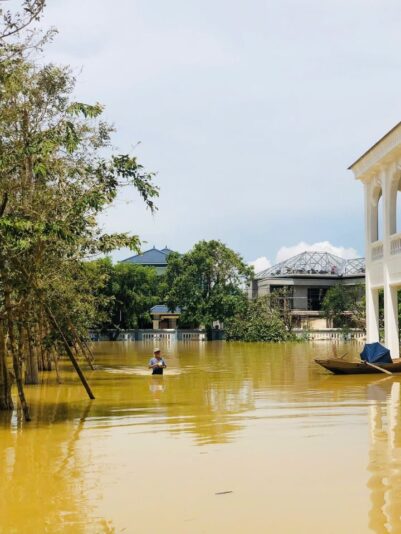 fb-267086443957481_1103626038646768