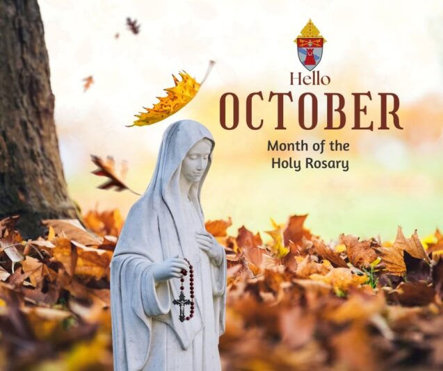 fb-149608895080801_1278565450977172