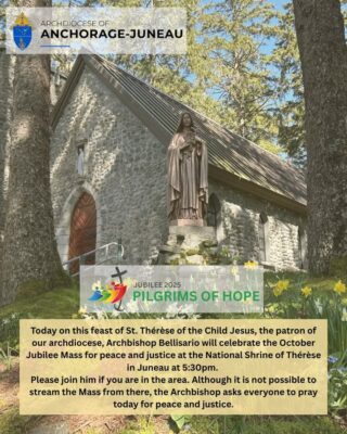 fb-115048641846447_1231897915645846