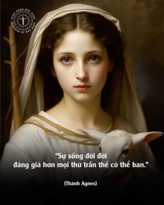 fb-732768673513037_1116596047263945