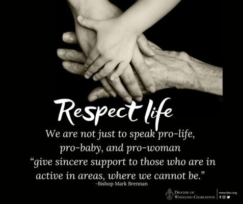 fb-326791086980_1223340726501175