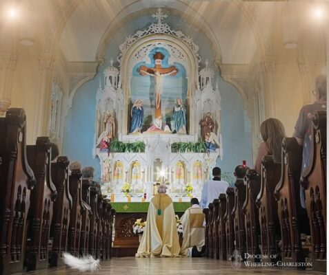 fb-326791086980_1223933119775269