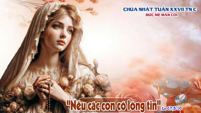 fb-585442494803518_1215360933961787