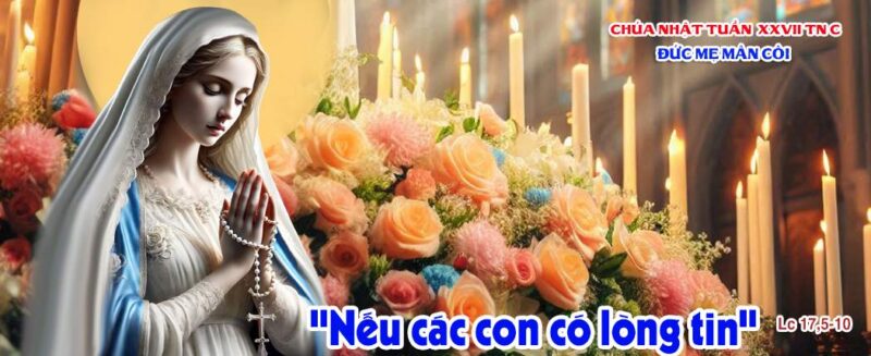 fb-585442494803518_1215360933961787