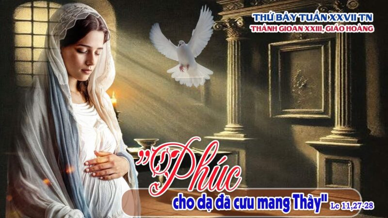 fb-585442494803518_1215360933961787