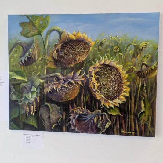 fb-115048641846447_1233614962140808