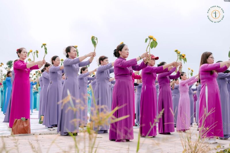 fb-732768673513037_1117496423840574