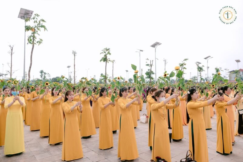 fb-732768673513037_1117496423840574