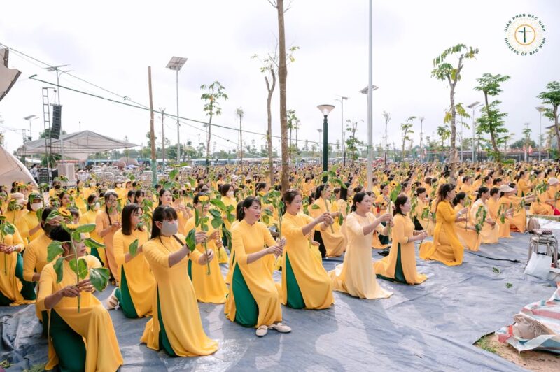 fb-732768673513037_1117496423840574