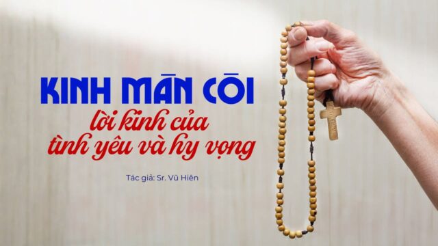 fb-732768673513037_1117978973792319