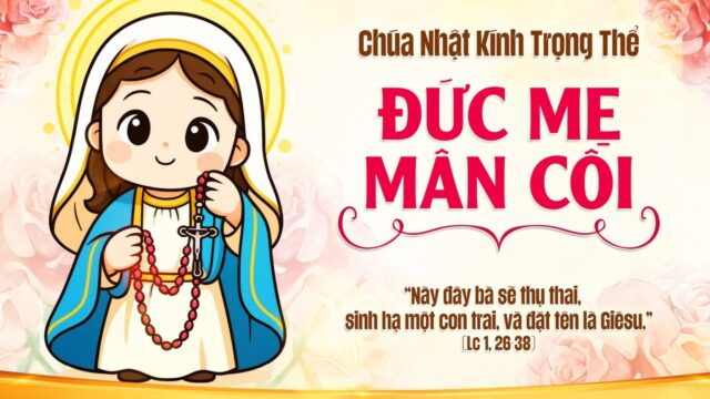 fb-585442494803518_1216094617221752