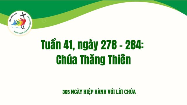 fb-732768673513037_1118339337089616