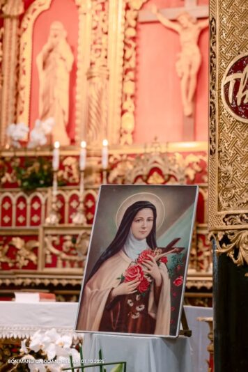 fb-732768673513037_1118544280402455