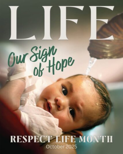 fb-95981452195_1223656676474830