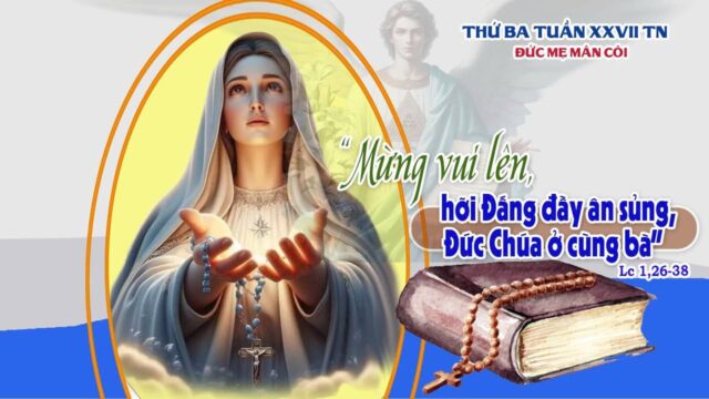 fb-585442494803518_1218071657024048