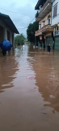 fb-732768673513037_1120192053571011