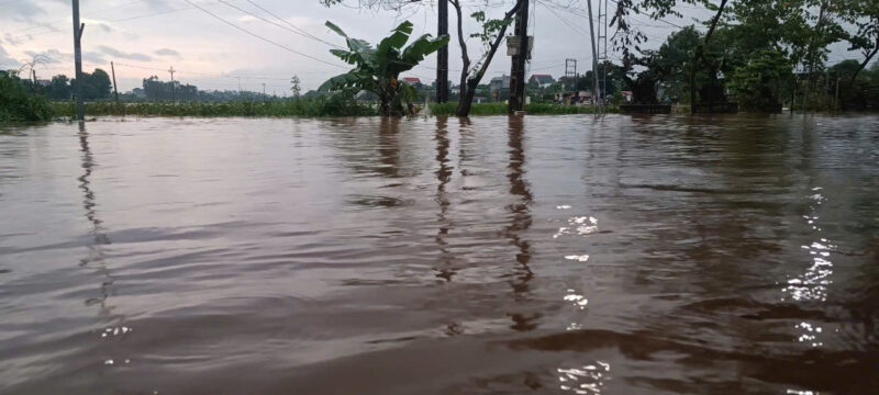 fb-732768673513037_1120192053571011