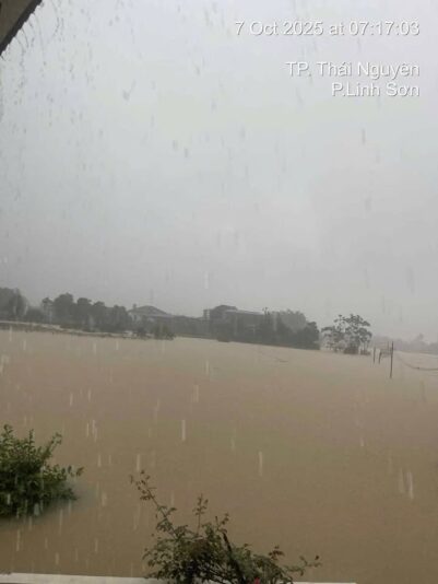 fb-732768673513037_1120139346909615