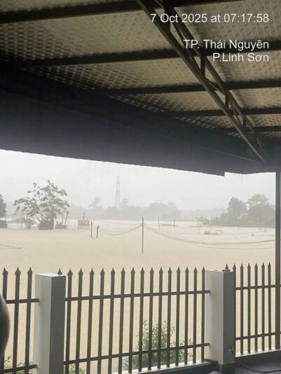 fb-732768673513037_1120139346909615