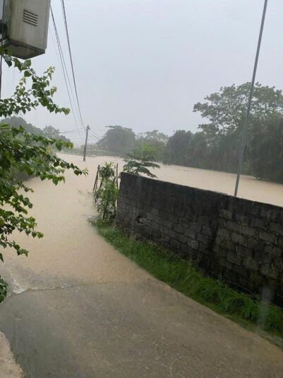 fb-732768673513037_1120139346909615