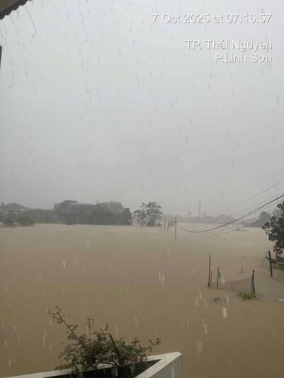 fb-732768673513037_1120139346909615