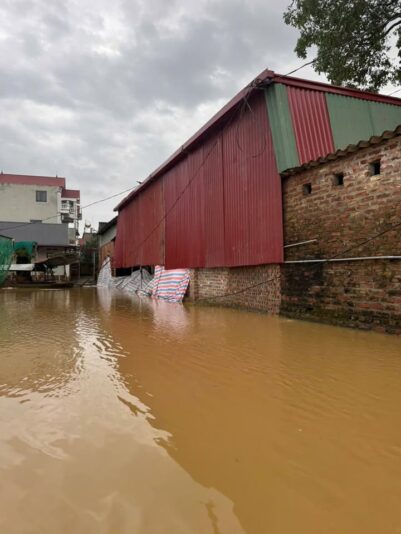 fb-732768673513037_1120582643531952