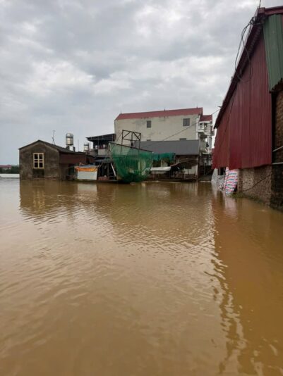 fb-732768673513037_1120582643531952