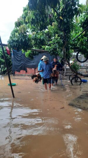 fb-732768673513037_1120422566881293