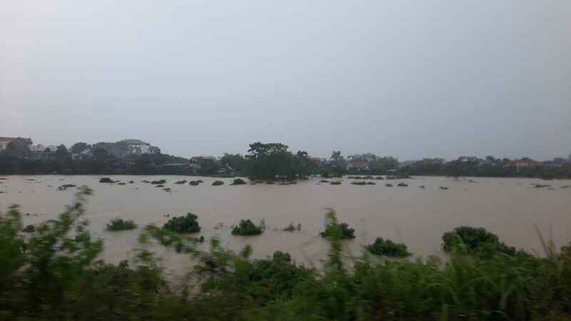 fb-732768673513037_1120422566881293