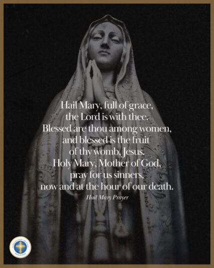 fb-216956945061_1238941458275218