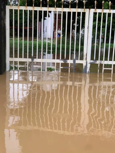 fb-732768673513037_1121032156820334