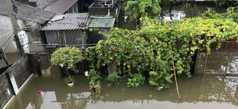 fb-732768673513037_1121025843487632