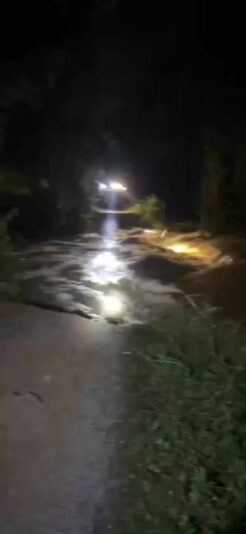 fb-732768673513037_1121017950155088