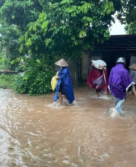 fb-732768673513037_1121017950155088