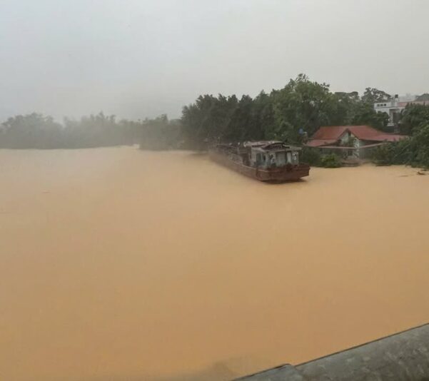 fb-732768673513037_1121017950155088