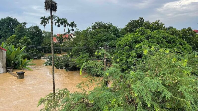 fb-267086443957481_1109591711383534