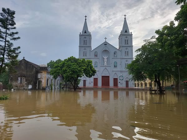 fb-732768673513037_1121083800148503