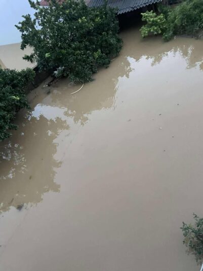 fb-732768673513037_1121083800148503