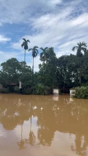 fb-732768673513037_1121054516818098