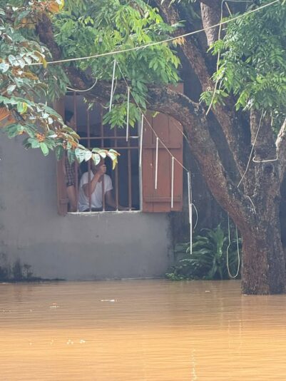 fb-732768673513037_1121054516818098