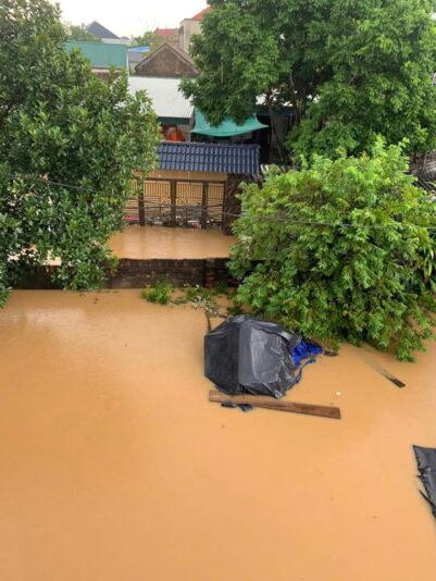 fb-732768673513037_1121054516818098